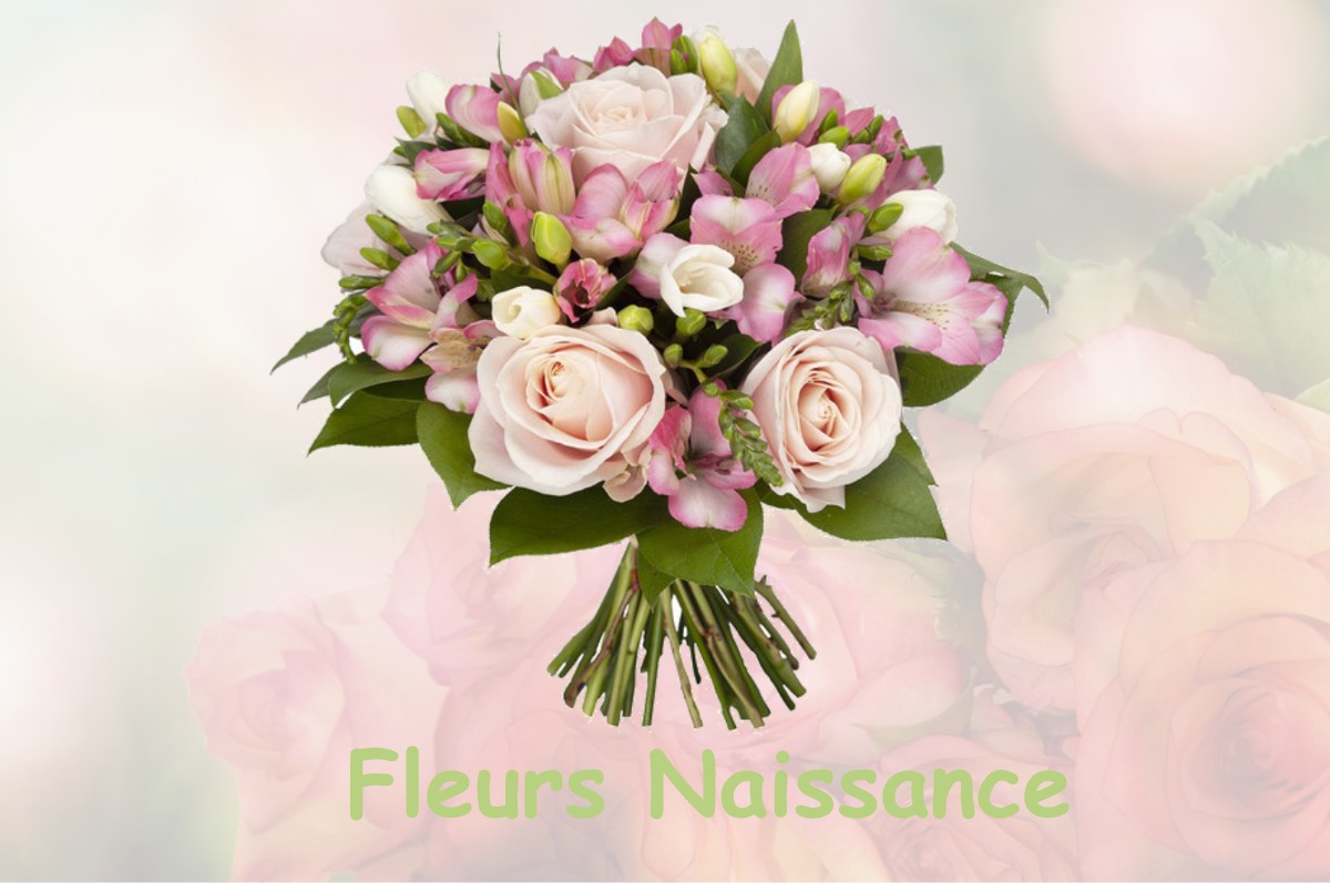 fleurs naissance GISSEY-SUR-OUCHE